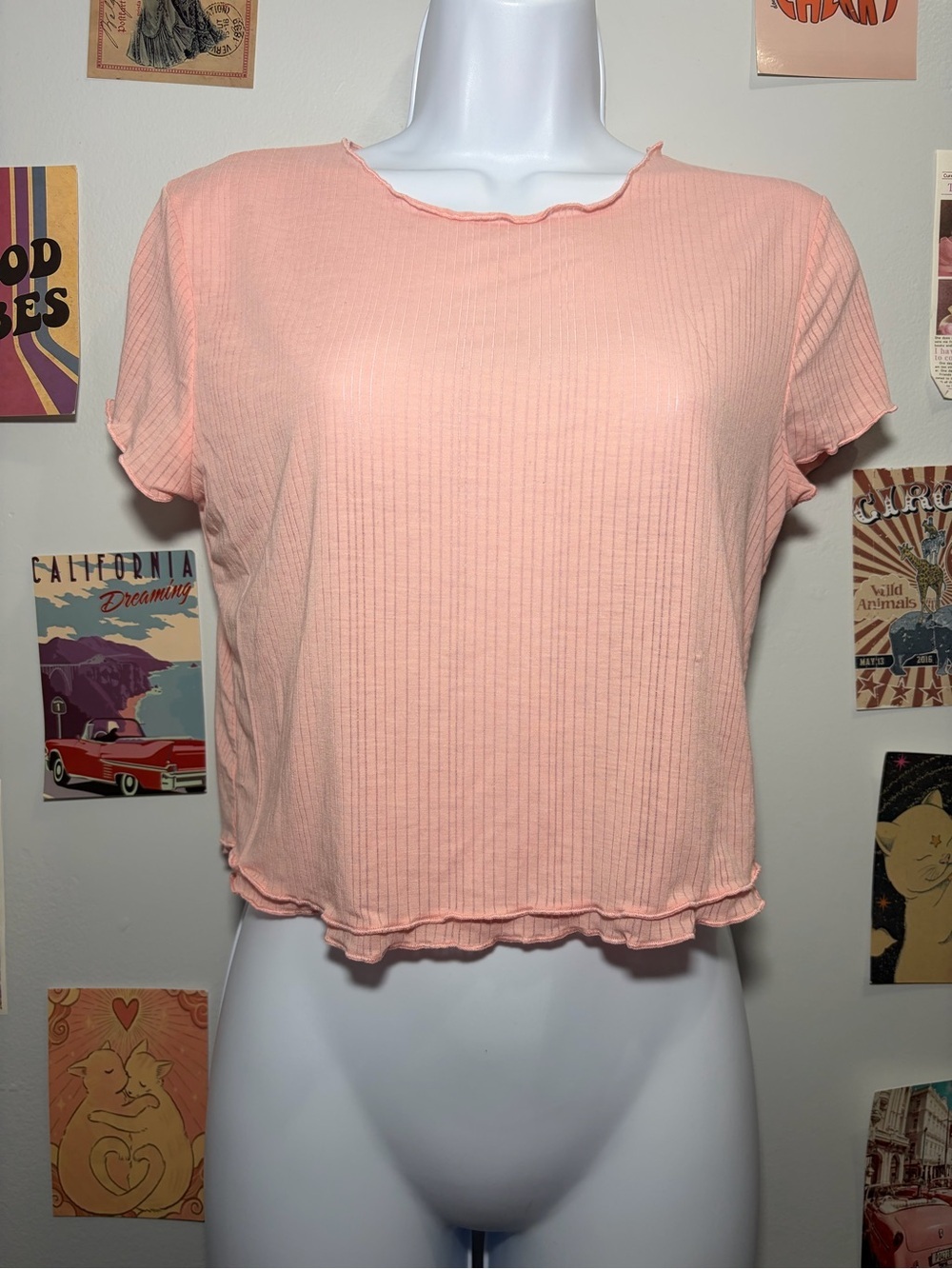 Anthropologie Peach-Pink Ribbed Crop Top